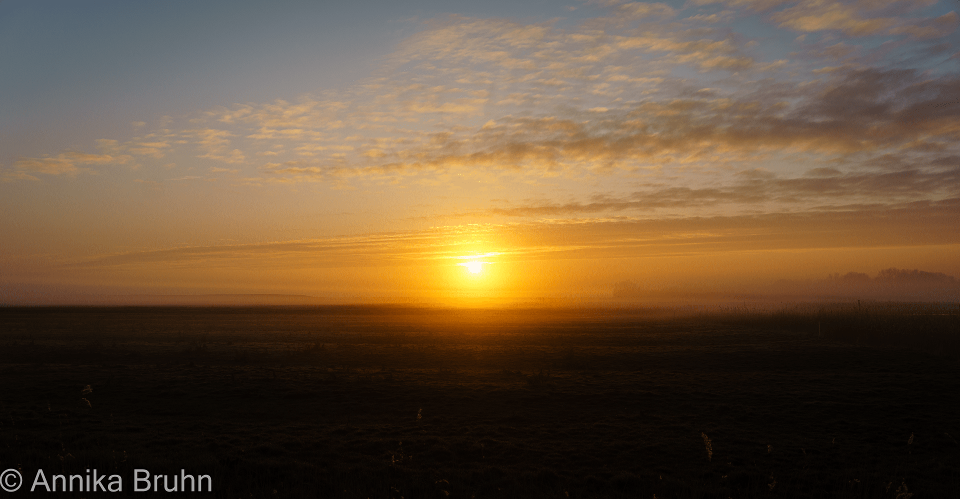 Morgenstimmung im Nebel!